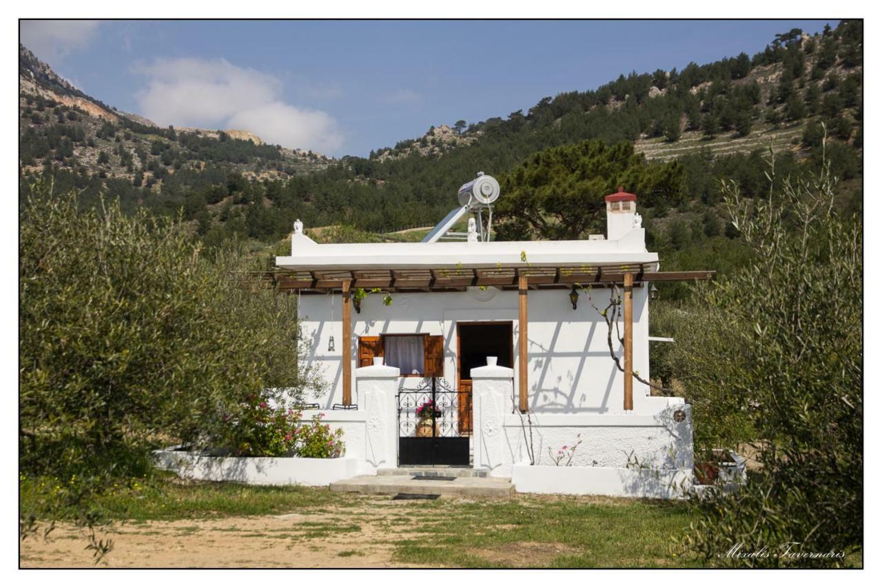 Liodentro House Villa Karpathos Town  Exterior photo